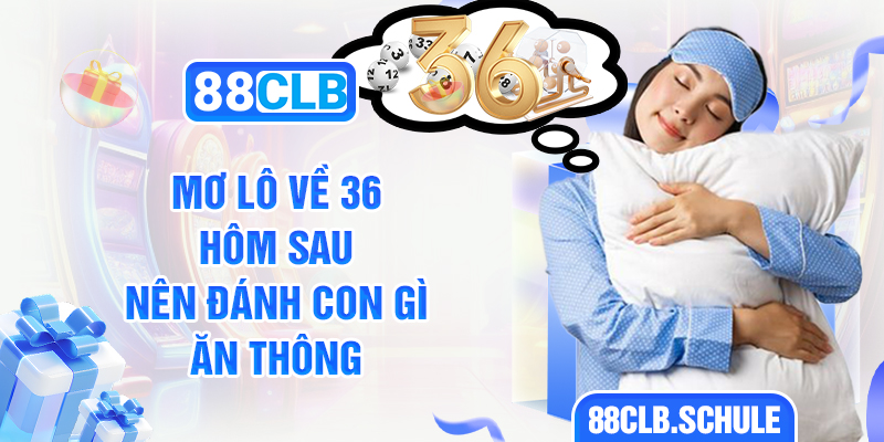 Mơ lô về 36 hôm sau nên đánh con gì ăn thông?